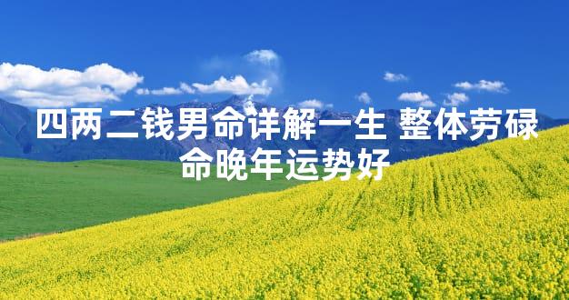 四两二钱男命详解一生 整体劳碌命晚年运势好